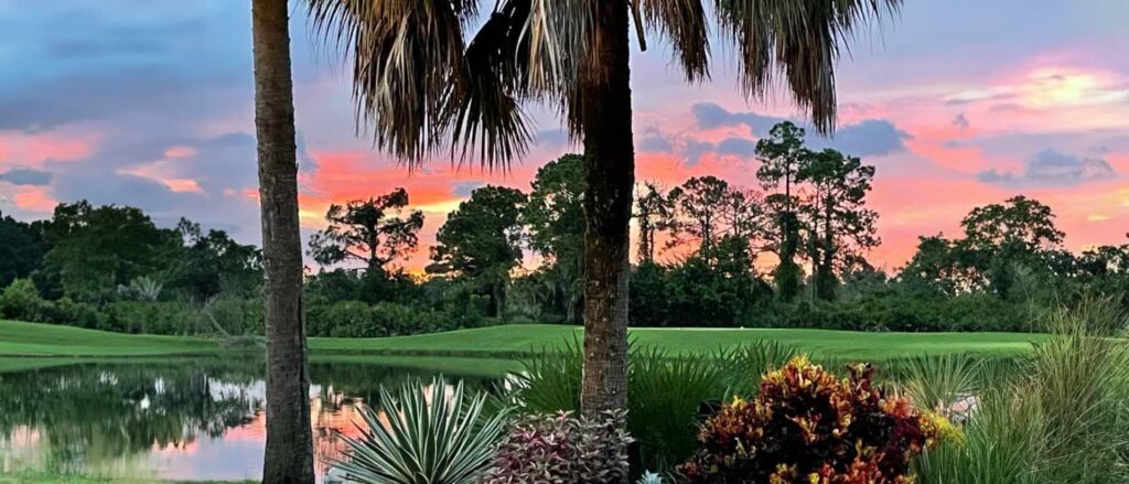 viewing the sunset over a pond through Palm trees and tropical plants