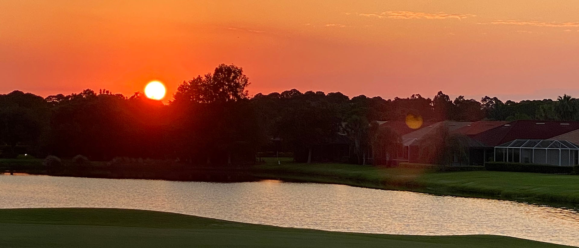 sun sinking behind the trees